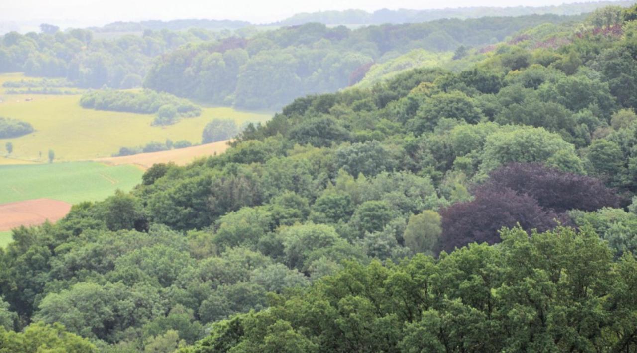 Valkenburg aan de Geul De La Ruine Bed & Breakfast エクステリア 写真